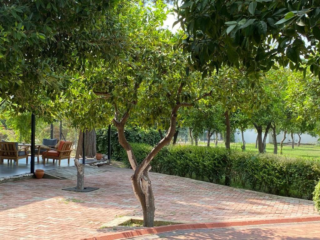 Hotel Omorfi Garden