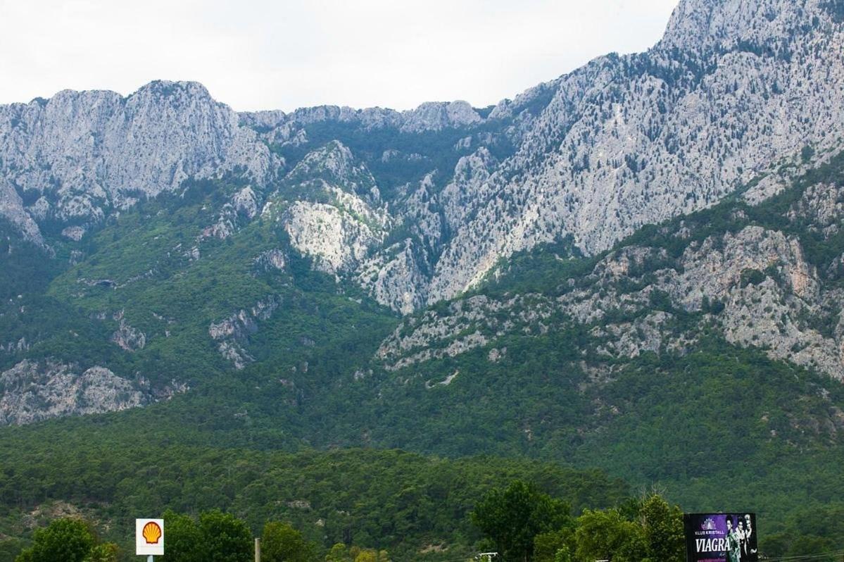 Hotel Omorfi Garden 4*